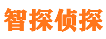 旬阳侦探公司